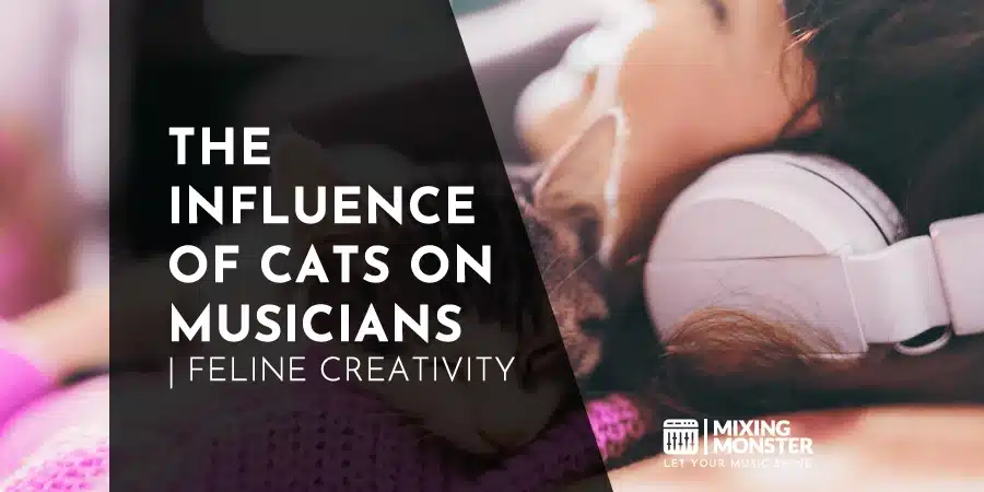The Influence Of Cats On Musicians | Feline Creativity The Influence Of Cats On Musicians | Feline Creativity