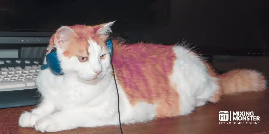Cat With Headphones Cat With Headphones