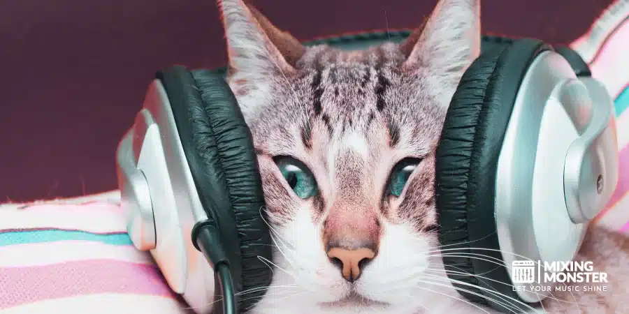 Cat Squeezed By Headphones Cat Squeezed By Headphones